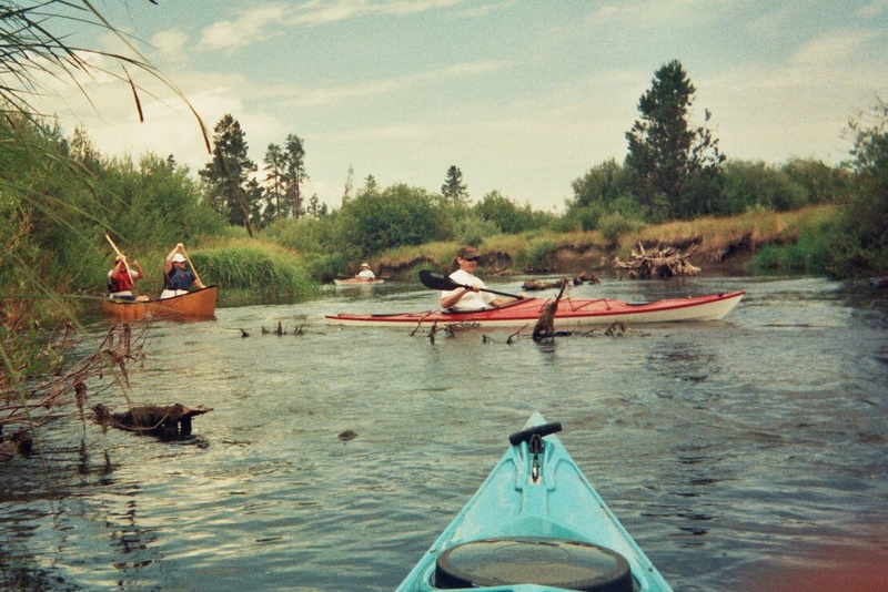 Navigating logs in river